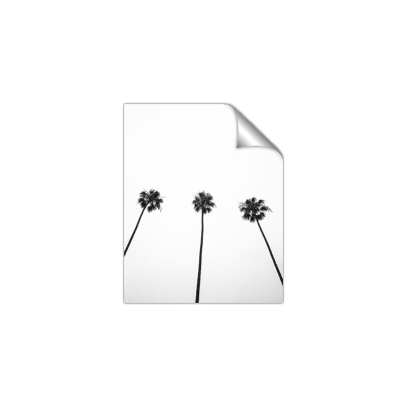 Picture of Cali Cathedrals III _GroupedProduct_Rectangle_Portrait_Photography _GroupedProduct_Rectangle_Portrait_Unframed_Print_Only_