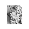 Picture of The Flowers He Gave _GroupedProduct_Rectangle_Portrait_Photography _GroupedProduct_Rectangle_Portrait_Unframed_Print_Only_