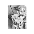 Picture of The Flowers He Gave _GroupedProduct_Rectangle_Portrait_Photography _GroupedProduct_Rectangle_Portrait_Unframed_Print_Only_