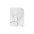 Picture of Whispering Mirage Dried Grass _GroupedProduct_Rectangle_Portrait_Photography _GroupedProduct_Rectangle_Portrait_Unframed_Print_Only_