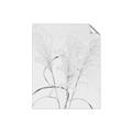 Picture of Whispering Mirage Dried Grass _GroupedProduct_Rectangle_Portrait_Photography _GroupedProduct_Rectangle_Portrait_Unframed_Print_Only_