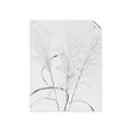 Picture of Whispering Mirage Dried Grass _GroupedProduct_Rectangle_Portrait_Photography _GroupedProduct_Rectangle_Portrait_Unframed_Print_Only_