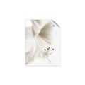 Picture of White Floral Hues _GroupedProduct_Rectangle_Portrait_Photography _GroupedProduct_Rectangle_Portrait_Unframed_Print_Only_