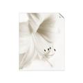 Picture of White Floral Hues _GroupedProduct_Rectangle_Portrait_Photography _GroupedProduct_Rectangle_Portrait_Unframed_Print_Only_