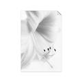 Picture of White Floral Hues _GroupedProduct_Rectangle_Portrait_Photography _GroupedProduct_Rectangle_Portrait_Unframed_Print_Only_