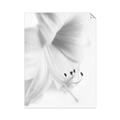 Picture of White Floral Hues _GroupedProduct_Rectangle_Portrait_Photography _GroupedProduct_Rectangle_Portrait_Unframed_Print_Only_