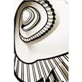 Picture of The Spiral _GroupedProduct_Rectangle_Portrait_Photography _GroupedProduct_Rectangle_Portrait_Unframed_Print_Only_