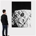Picture of Moon Landing _GroupedProduct_Rectangle_Portrait_Photography _GroupedProduct_Rectangle_Portrait_Canvas_