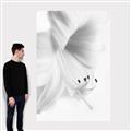 Picture of White Floral Hues _GroupedProduct_Rectangle_Portrait_Photography _GroupedProduct_Rectangle_Portrait_Canvas_