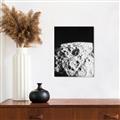 Picture of Moon Landing _GroupedProduct_Rectangle_Portrait_Photography _GroupedProduct_Rectangle_Portrait_Canvas_
