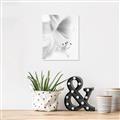 Picture of White Floral Hues _GroupedProduct_Rectangle_Portrait_Photography _GroupedProduct_Rectangle_Portrait_Canvas_