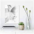 Picture of White Floral Hues _GroupedProduct_Rectangle_Portrait_Photography _GroupedProduct_Rectangle_Portrait_Canvas_