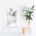 Picture of White Floral Hues _GroupedProduct_Rectangle_Portrait_Photography _GroupedProduct_Rectangle_Portrait_Canvas_