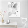Picture of White Floral Hues _GroupedProduct_Rectangle_Portrait_Photography _GroupedProduct_Rectangle_Portrait_Canvas_