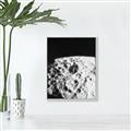 Picture of Moon Landing _GroupedProduct_Rectangle_Portrait_Photography _GroupedProduct_Rectangle_Portrait_Canvas_Framed_