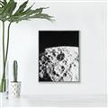 Picture of Moon Landing _GroupedProduct_Rectangle_Portrait_Photography _GroupedProduct_Rectangle_Portrait_Canvas_Framed_