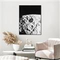 Picture of Moon Landing _GroupedProduct_Rectangle_Portrait_Photography _GroupedProduct_Rectangle_Portrait_Canvas_Framed_