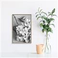 Picture of The Flowers He Gave _GroupedProduct_Rectangle_Portrait_Photography _GroupedProduct_Rectangle_Portrait_Canvas_Framed_
