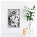 Picture of The Flowers He Gave _GroupedProduct_Rectangle_Portrait_Photography _GroupedProduct_Rectangle_Portrait_Canvas_Framed_