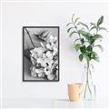 Picture of The Flowers He Gave _GroupedProduct_Rectangle_Portrait_Photography _GroupedProduct_Rectangle_Portrait_Canvas_Framed_