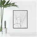 Picture of Whispering Mirage Dried Grass _GroupedProduct_Rectangle_Portrait_Photography _GroupedProduct_Rectangle_Portrait_Canvas_Framed_