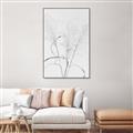 Picture of Whispering Mirage Dried Grass _GroupedProduct_Rectangle_Portrait_Photography _GroupedProduct_Rectangle_Portrait_Canvas_Framed_