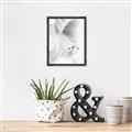 Picture of White Floral Hues _GroupedProduct_Rectangle_Portrait_Photography _GroupedProduct_Rectangle_Portrait_Canvas_Framed_