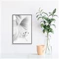 Picture of White Floral Hues _GroupedProduct_Rectangle_Portrait_Photography _GroupedProduct_Rectangle_Portrait_Canvas_Framed_
