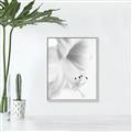 Picture of White Floral Hues _GroupedProduct_Rectangle_Portrait_Photography _GroupedProduct_Rectangle_Portrait_Canvas_Framed_
