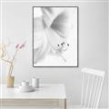 Picture of White Floral Hues _GroupedProduct_Rectangle_Portrait_Photography _GroupedProduct_Rectangle_Portrait_Canvas_Framed_
