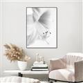 Picture of White Floral Hues _GroupedProduct_Rectangle_Portrait_Photography _GroupedProduct_Rectangle_Portrait_Canvas_Framed_