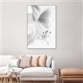 Picture of White Floral Hues _GroupedProduct_Rectangle_Portrait_Photography _GroupedProduct_Rectangle_Portrait_Canvas_Framed_