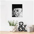 Picture of Moon Landing _GroupedProduct_Rectangle_Portrait_Photography _GroupedProduct_Rectangle_Portrait_Unframed_Print_Only_