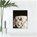Picture of Moon Landing _GroupedProduct_Rectangle_Portrait_Photography _GroupedProduct_Rectangle_Portrait_Unframed_Print_Only_