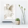 Picture of White Floral Hues _GroupedProduct_Rectangle_Portrait_Photography _GroupedProduct_Rectangle_Portrait_Unframed_Print_Only_
