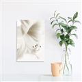 Picture of White Floral Hues _GroupedProduct_Rectangle_Portrait_Photography _GroupedProduct_Rectangle_Portrait_Unframed_Print_Only_