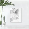 Picture of White Floral Hues _GroupedProduct_Rectangle_Portrait_Photography _GroupedProduct_Rectangle_Portrait_Unframed_Print_Only_