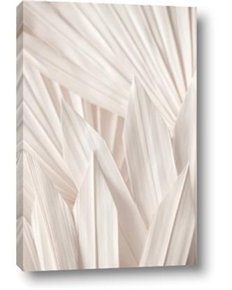 Picture of Beige Blossom Leaf Patterns