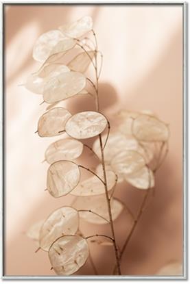 Picture of Celestial Summer Leaves