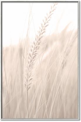 Picture of Rhapsody of Grass Blades