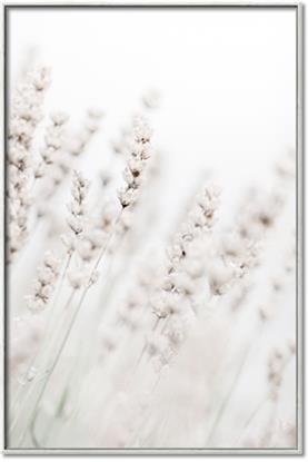 Picture of Grass straws