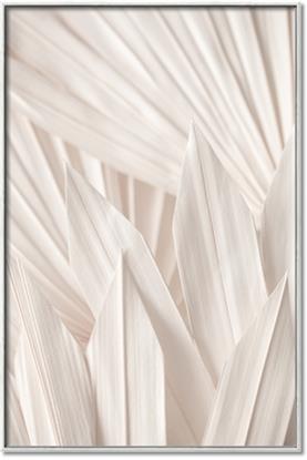 Picture of Beige Blossom Leaf Patterns