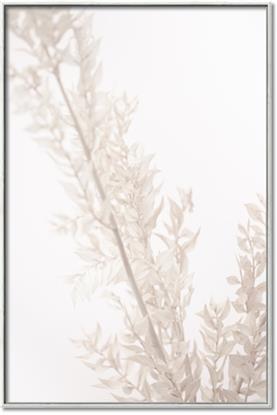 Picture of Earthy Flora Straws