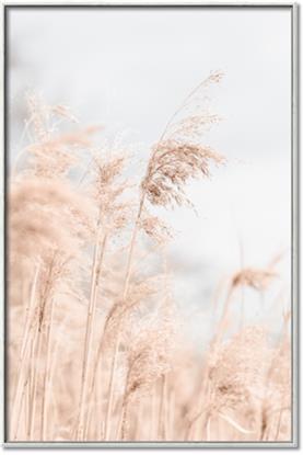 Picture of Neutral Bloom Reeds