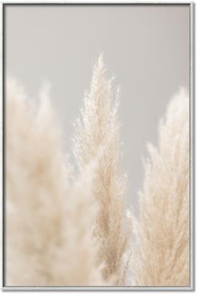 Picture of Creamy Petal Pampas II