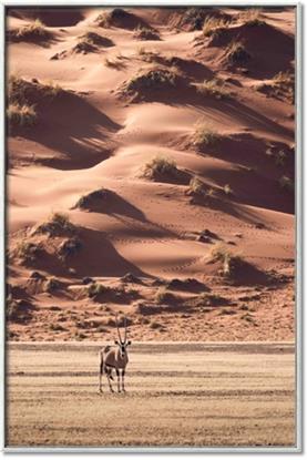 Picture of Tranquil Walk in the Valley