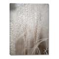 Picture of Elysian Grass _GroupedProduct_Rectangle_Portrait_Photography _GroupedProduct_Rectangle_Portrait_Canvas_