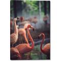 Picture of Flamingo _GroupedProduct_Rectangle_Portrait_Photography _GroupedProduct_Rectangle_Portrait_Canvas_