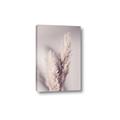 Picture of Enchanted Pampas Grass _GroupedProduct_Rectangle_Portrait_Photography _GroupedProduct_Rectangle_Portrait_Canvas_