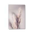 Picture of Enchanted Pampas Grass _GroupedProduct_Rectangle_Portrait_Photography _GroupedProduct_Rectangle_Portrait_Canvas_